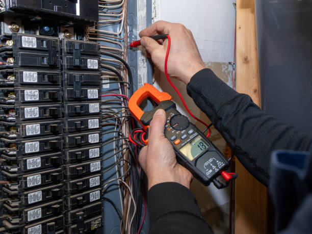 Best Electric Panel Repair  in Homerville, GA